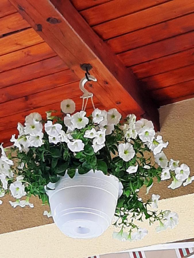 ארד Villa Csilla Elegant House מראה חיצוני תמונה