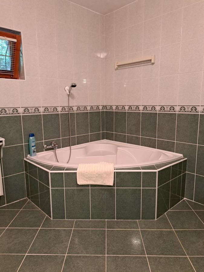 ארד Villa Csilla Elegant House מראה חיצוני תמונה